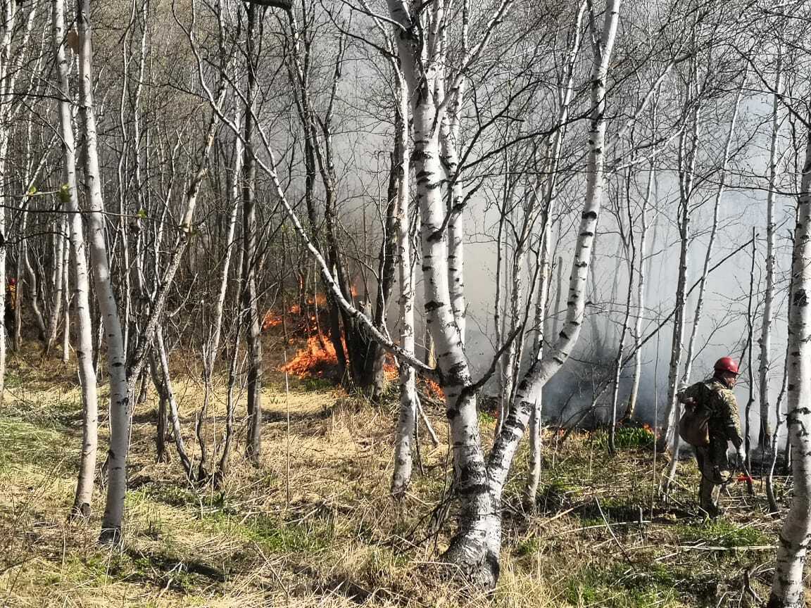 В районах Камчатки наблюдается повышенный класс пожарной опасности